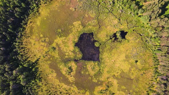 Mysterious Deep Swampy Lake with Black Water