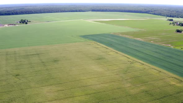 Aerial Drone View Flight Over Different Agricultural Fields