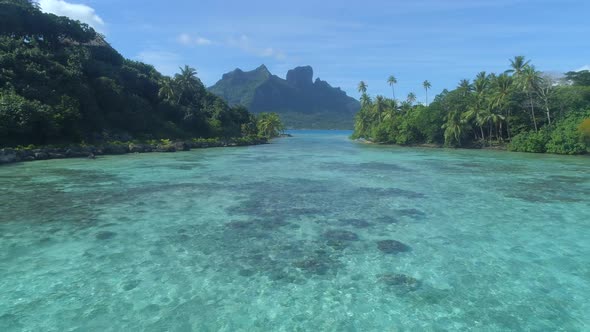 A woman swimming in a tropical green lagoon in Bora Bora tropical island