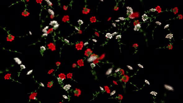 Rain of Rose Flowers alt