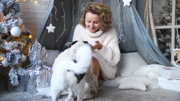 Young Woman Playing With Dog Wearing Knit Sweaters On Christmas