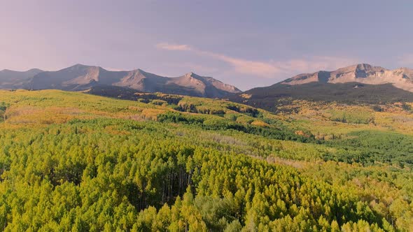 Aspens turning on Kebler Pass, Colorado