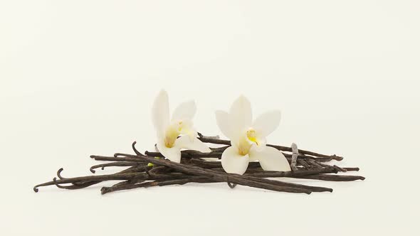 Vanilla Herb With Flowers