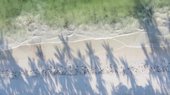 Vertical Video Empty Beach on Zanzibar Island Tanzania Aerial View