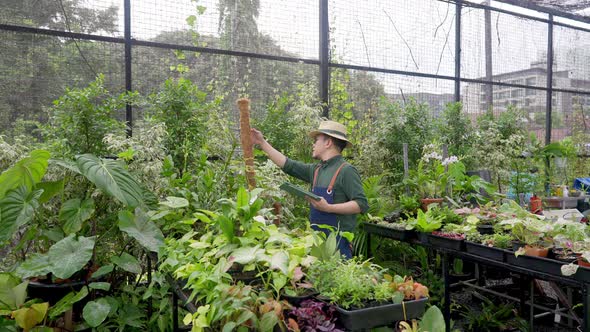 4K Asian man gardener plant shop owner working on digital tablet