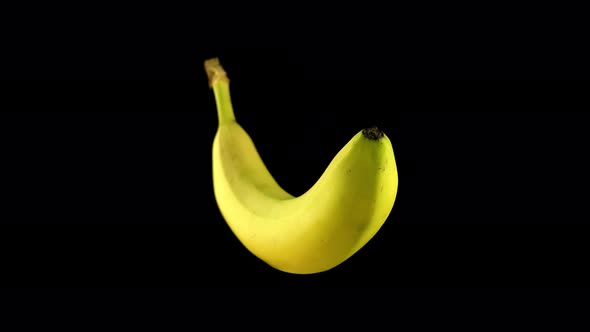 Yellow Banana Rotates on a Black Background