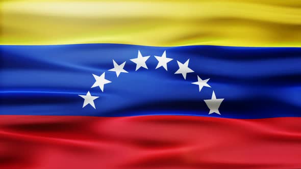 Venezuela Flag Waving