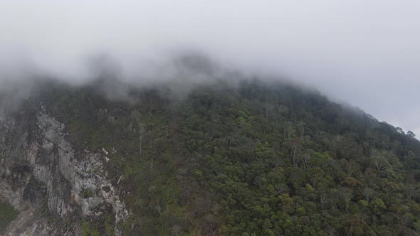 Aerial drone view of mist tropical rainforest in valley, Indonesia.