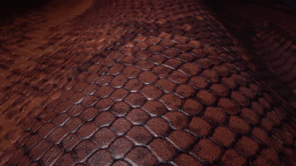 Brown Leather Texture and Background