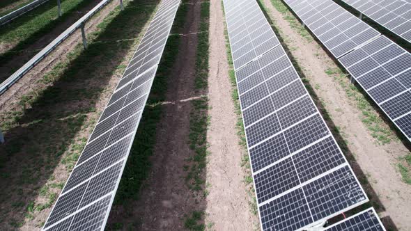 Slow pass over vertical rows of carbon positive solar photovoltaic panels, green energy