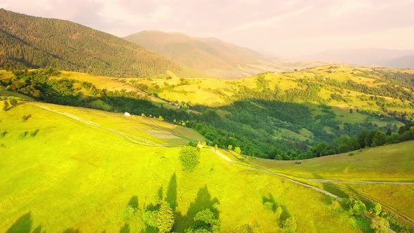 Aerial View of the Endless Lush Pastures of the Carpathian Expanses and Agricultural Land