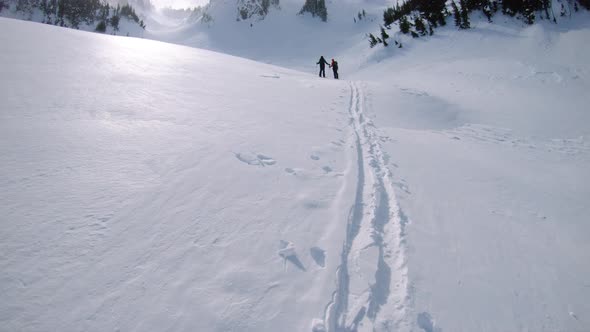 Backcountry Ski Touring In Mt Rainier National Park