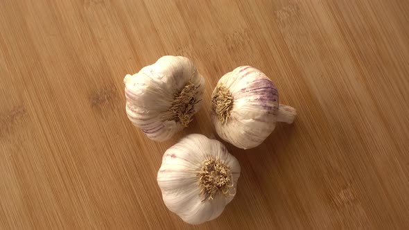 Garlic