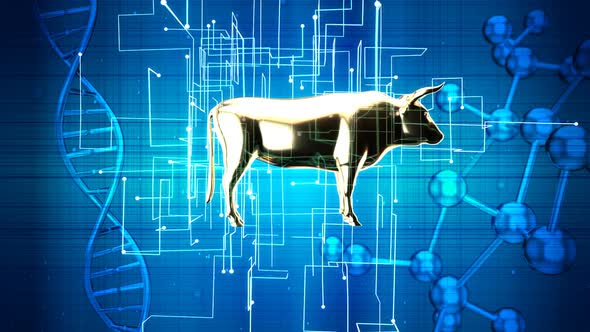 Abstract animation of an agriculture concept on the grid