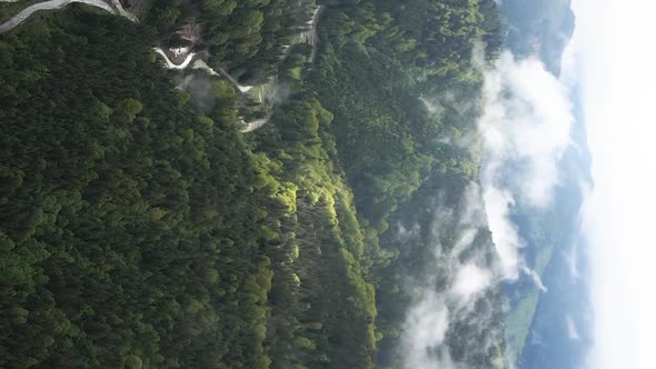 Vertical Video Carpathian Mountains