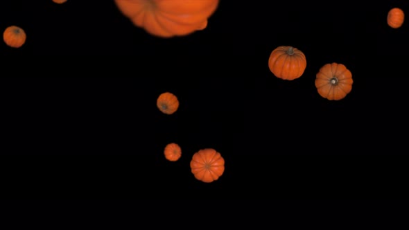 3D pumpkins fall on black background