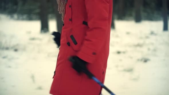 Woman Practicing Nordic Walking In Forest. Sticks Walking On Winter Wood. Sport Activities.