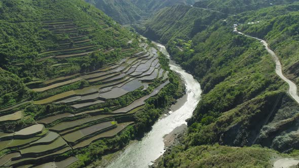 Rice Terraces in the Mountains