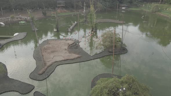 Aerial view of Dendrological Park in Shekvetili village, Georgia