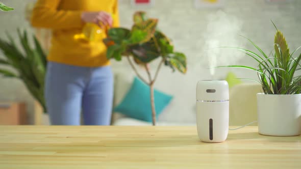 Care of Plants at Home Against the Background of an Air Humidifier