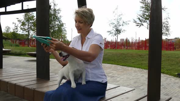 Woman Works with a Tablet on a Walk with a Little Dog