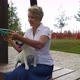 Woman Works with a Tablet on a Walk with a Little Dog - VideoHive Item for Sale
