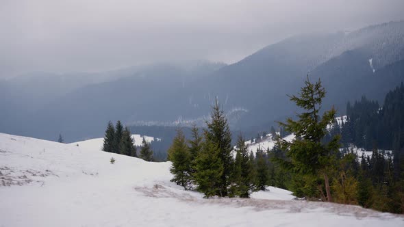 Ukrainian Carpathian Mountains Covered with Snow and Forests