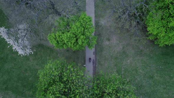Aerial birds eye view of cyclist as he cycles through nature path