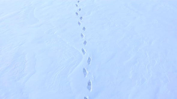 Deep footprints in the white snow.