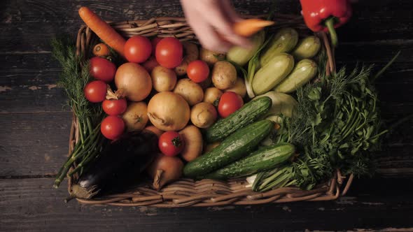 Basket with Fresh Vegetables Potatoes Herbs Cabbage Peppers Carrots Cucumbers