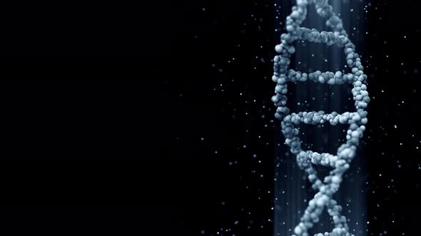 Turning Blue DNA Molecule Model alt