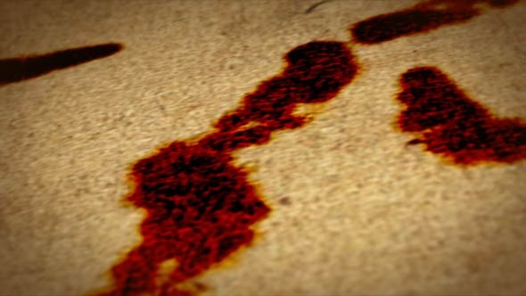 Horror Logo Reveal