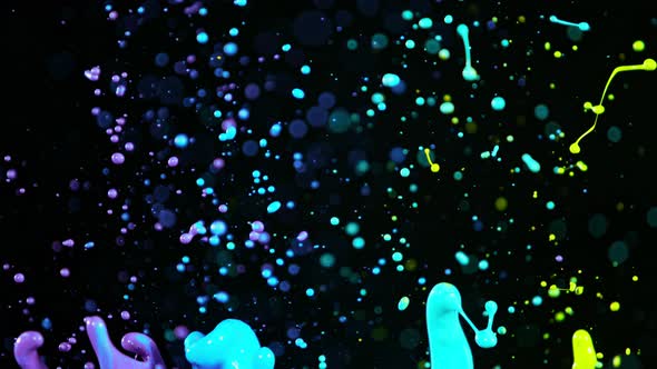 Colorful Splashing Paint in Super Slow Motion