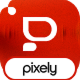 Preview icon