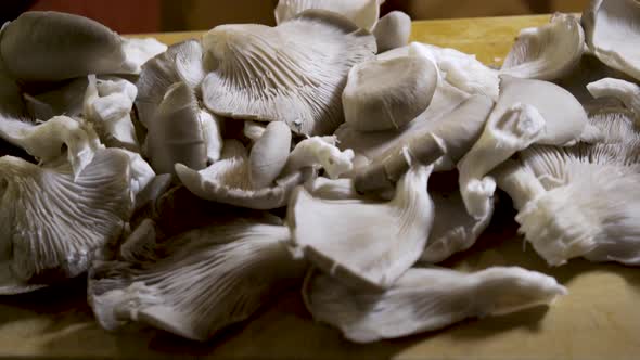 Slider shot of all the pieces of the cluster of oyster mushrooms cut off.