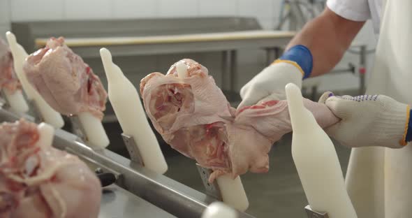 Hands Develop Chicken Meat In Production