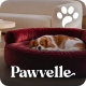 Preview icon