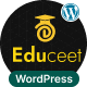 Preview icon