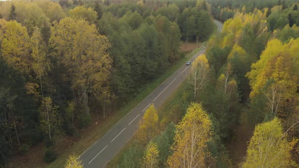 Car is Driving on an Empty Road in a Wooded Area