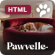 Preview icon