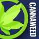 Preview icon