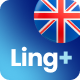 Preview icon