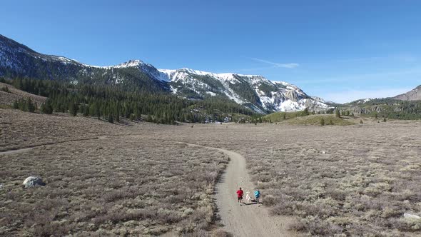 Aerial shot of a young man and woman trail running with dog on scenic mountain trail.