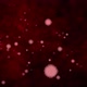 Blood Microorganisms - VideoHive Item for Sale