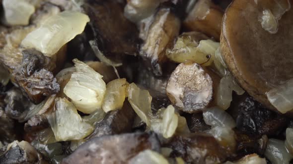 Mushrooms Fried with Onions Rotate on a Plate As a Background for the Restaurant Wild Mushrooms