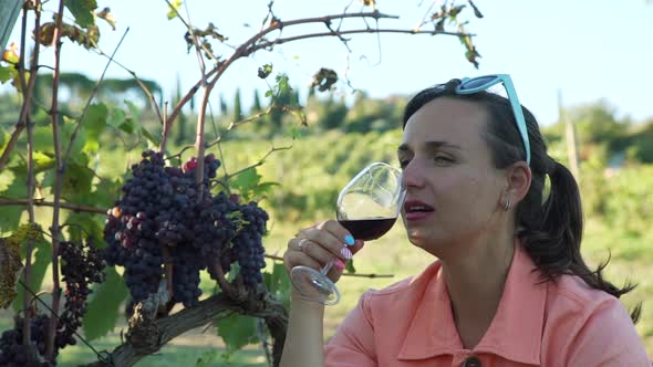 Woman Drinking Red Wine Near Italian Vineyards