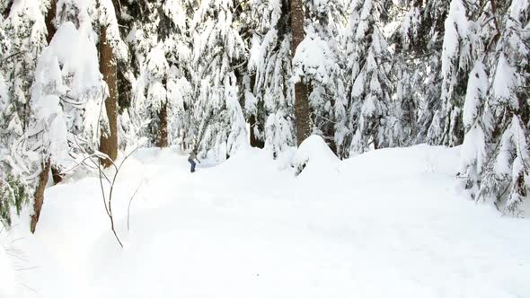 Woman snowboarding through forest