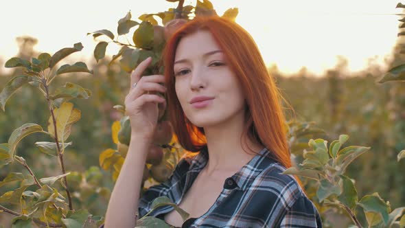 Redhead Woman in Apple Orchard on Sunset