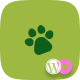 Preview icon