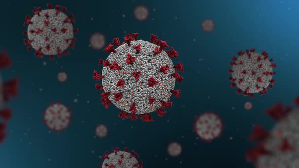 The Coronavirus Covid-19